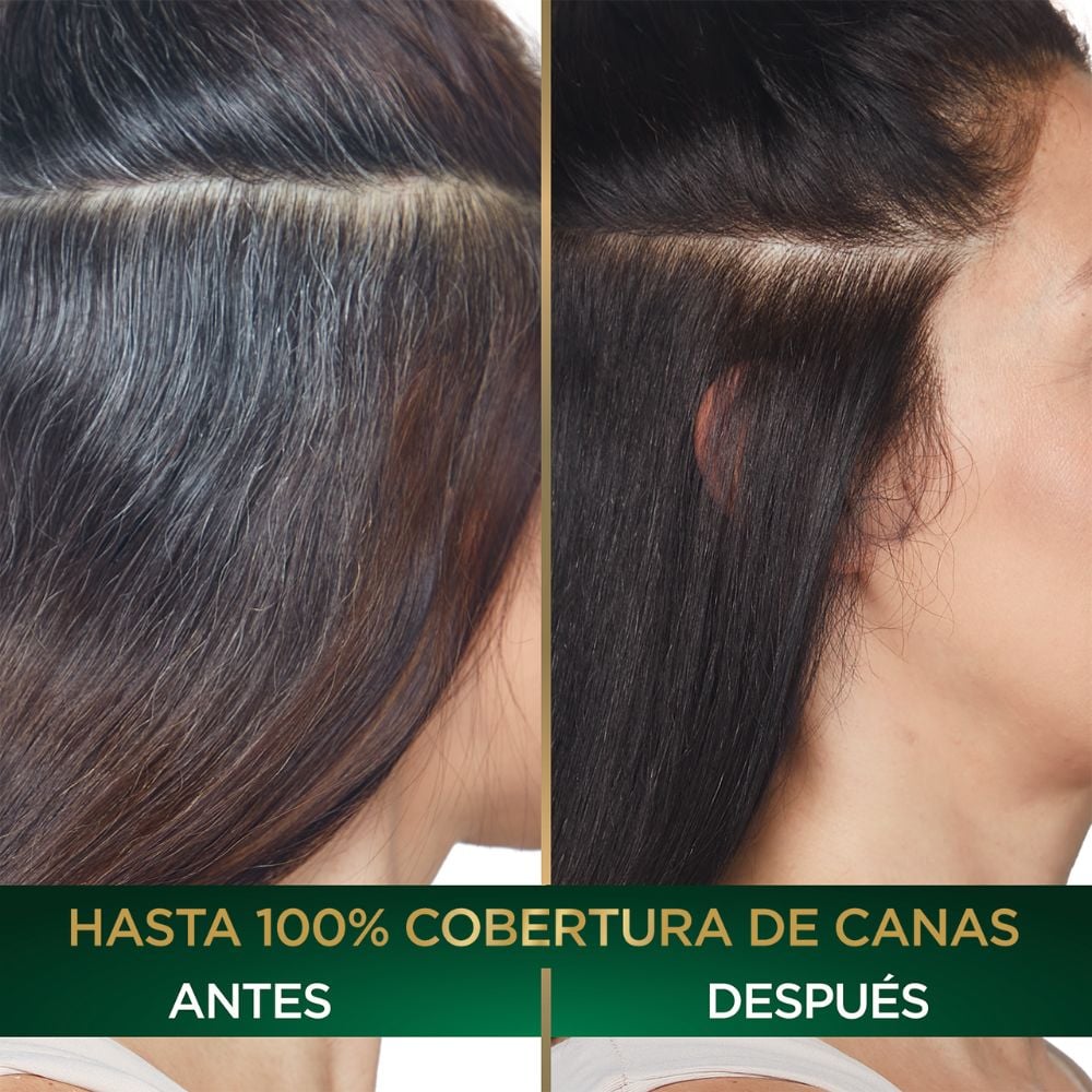 antes y después de usar Hair Food Coco de Ganier